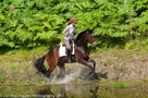Fotoshoot Paarden